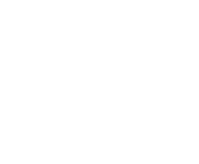 Evolution games at Bonus Spins Club Casino
